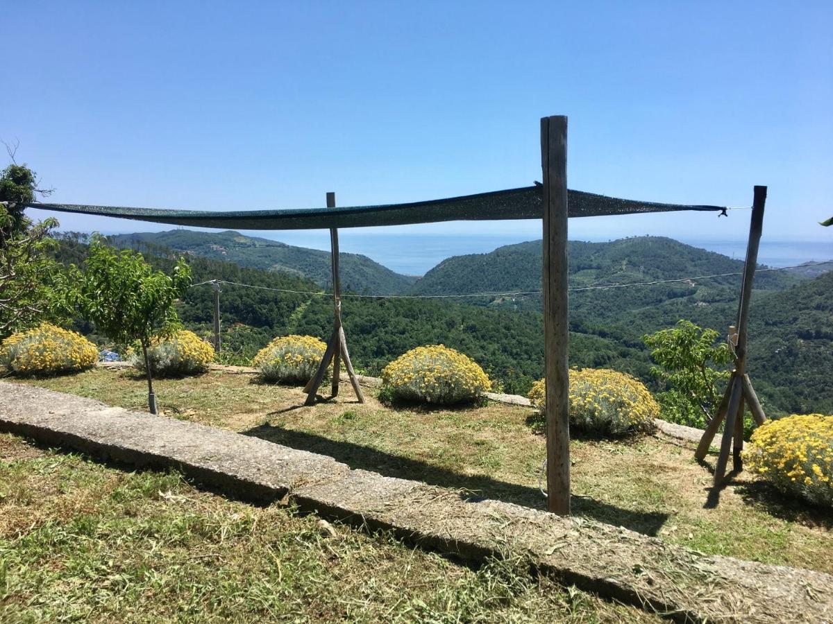 Agriturismo Lavalleggia Tovo San Giacomo Exteriér fotografie