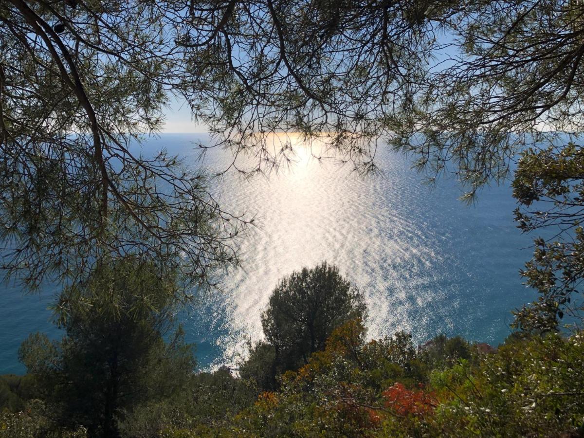 Agriturismo Lavalleggia Tovo San Giacomo Exteriér fotografie