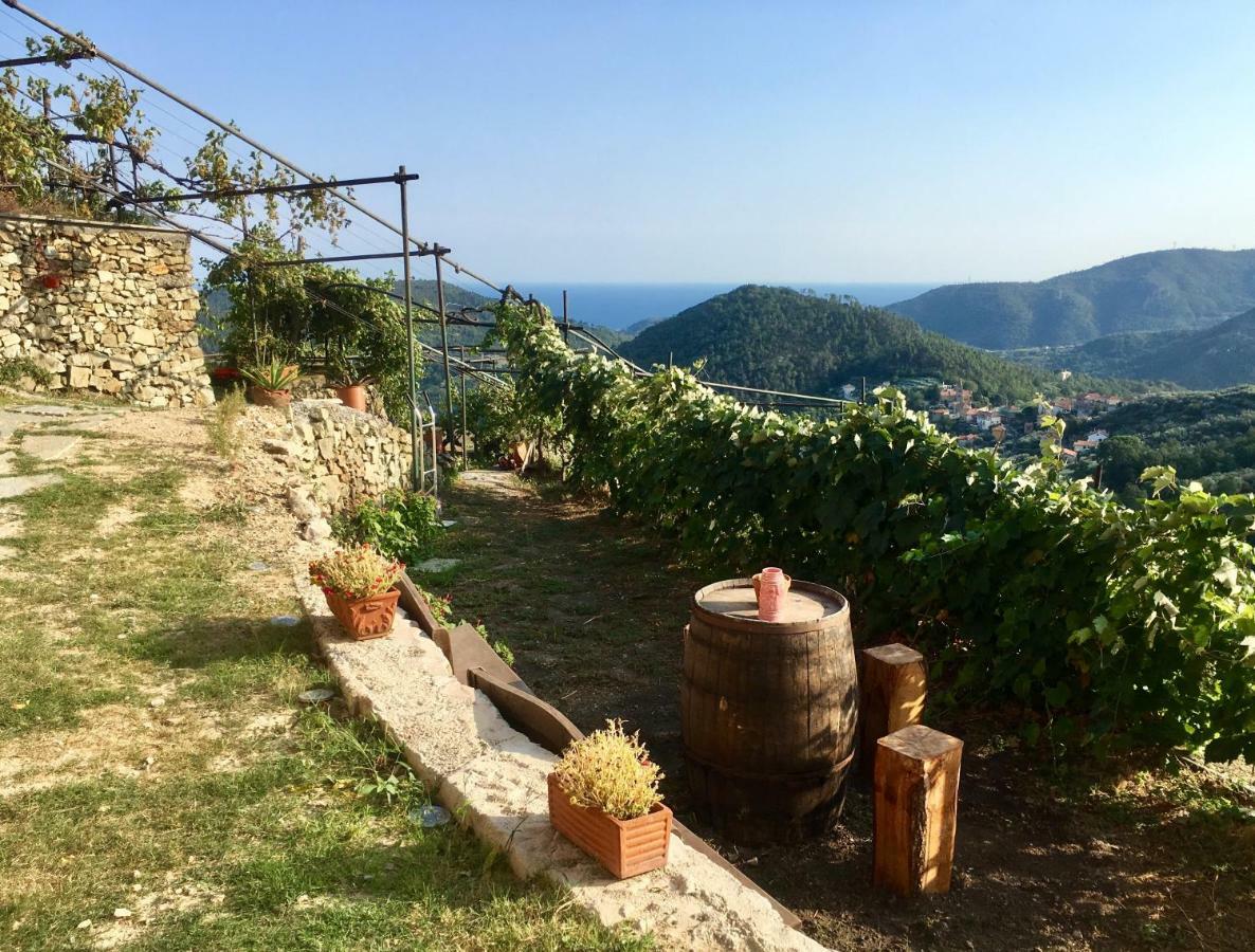 Agriturismo Lavalleggia Tovo San Giacomo Exteriér fotografie
